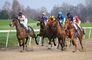 Royal Windsor Racecourse